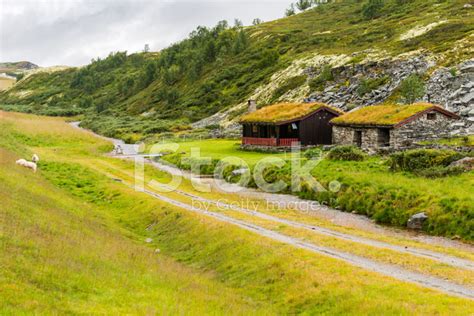 Norway Farm Stock Photo | Royalty-Free | FreeImages