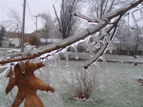 30 Amazing Ice Storm Photography