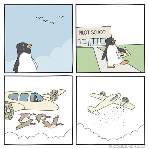 Meme Generator - Penguin learning to fly comic - Newfa Stuff