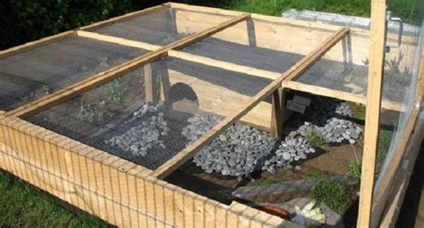 How to Make a Safe Outdoor Enclosure for Baby Sulcata Tortoise | Pet Sulcata Tortoise