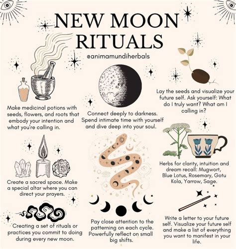 9 Things You Should (and Should Not!) Do During a New 🌑 Moon | Spell ...