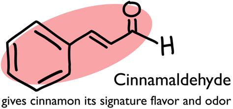 Cinnamaldehyde - Alchetron, The Free Social Encyclopedia