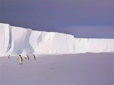 World's largest iceberg starts to move