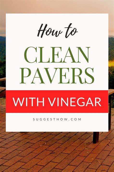 How to Clean Pavers with Vinegar – Follow 5 Easy Steps | Pavers, Cleaning pavers, How to clean brick