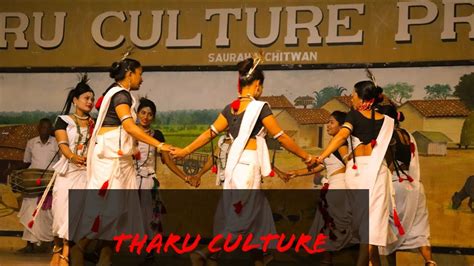 Tharu culture dance program chitwan sauraha - YouTube