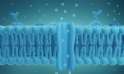 Artificial cell membrane channels composed of DNA can be opened and locked with a key