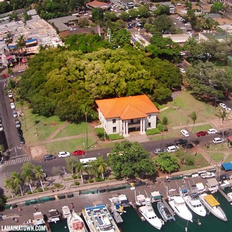 Lahaina Banyan Court Park - Biggest Banyan Tree in Maui, Hawaii