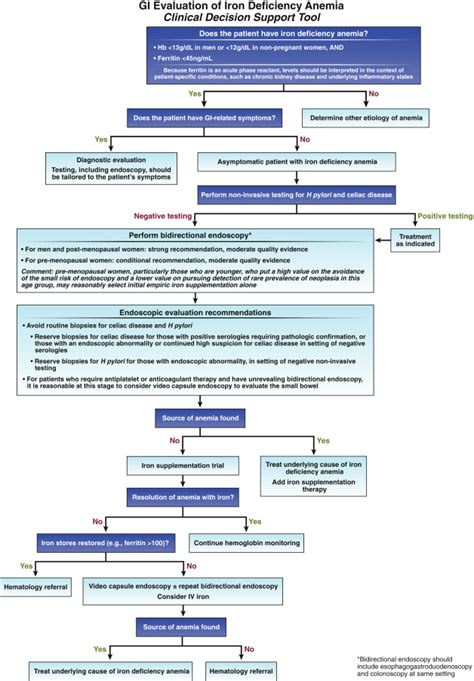 Gastrointestinal evaluation of iron deficiency anemia - American ...