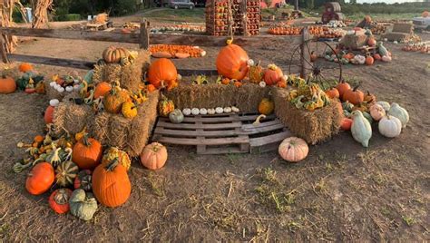 6 Amazing Pumpkin Patches Near Austin Everyone Can Enjoy | UrbanMatter Austin