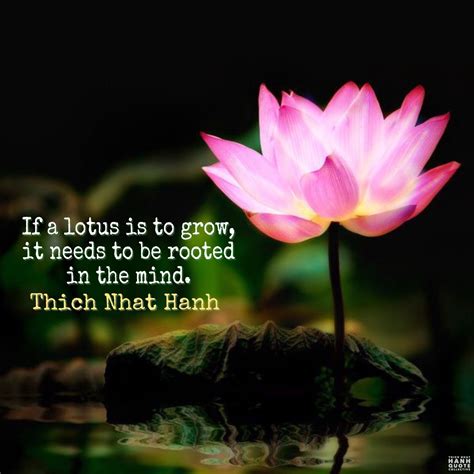 If a lotus is to grow, it needs to be rooted in the mind. - Thich Nhat Hanh ...