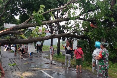 Evakuasi Pohon Tumbang, Relawan PMI Sukoharjo Meninggal Tersengat ...