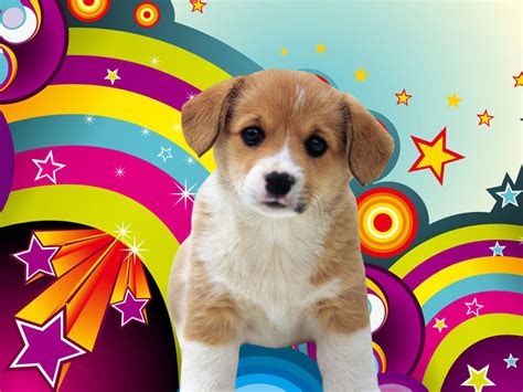 🔥 [45+] Cute Puppy Wallpapers Free | WallpaperSafari