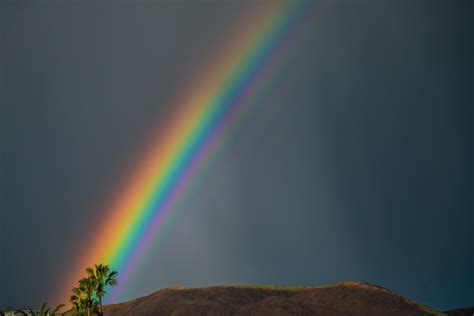 Malibu Rainbow Palm Tree Breaking Storm! Sony A7R II Malib… | Flickr