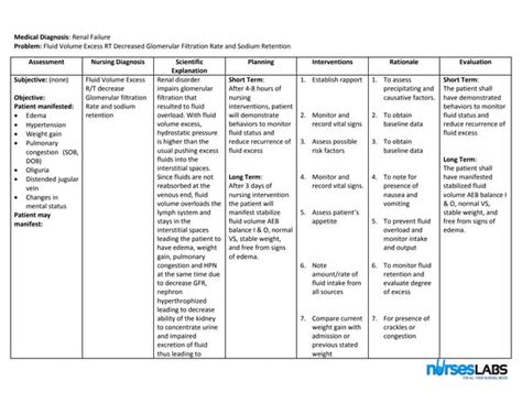 Nursing crib.com nursing care plan renal failure