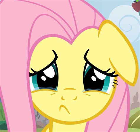 sad fluttershy Blank Template - Imgflip