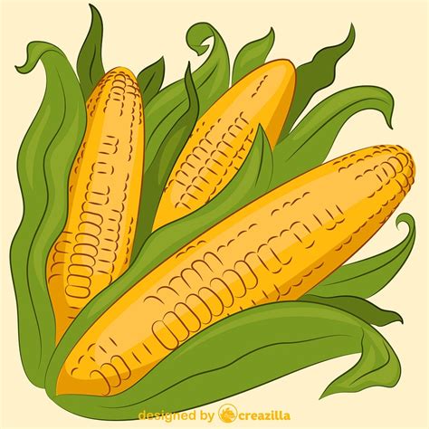 Corn vector. Free download. | Creazilla