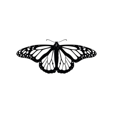 Monarch Butterfly | Monarch butterfly tattoo, White butterfly tattoo ...