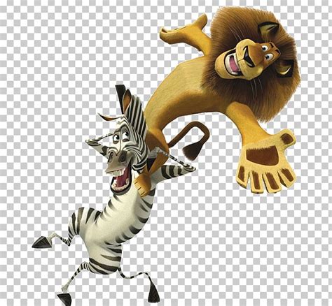 Alex Marty Madagascar Film PNG, Clipart, Alex, Bee Movie, Big Cats, Carnivoran, Cat Like Mammal ...