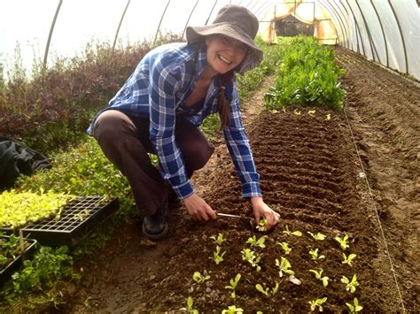 A muster of market gardeners... - Milkwood: permaculture courses, skills + stories