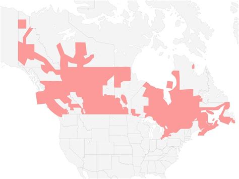 If you’re travelling during a winter storm, here’s what to prepare | Radio-Canada.ca