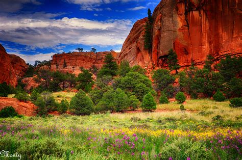 Chinle, Navajo Nation, Arizona | scenes of the Navajo Nation… | Flickr