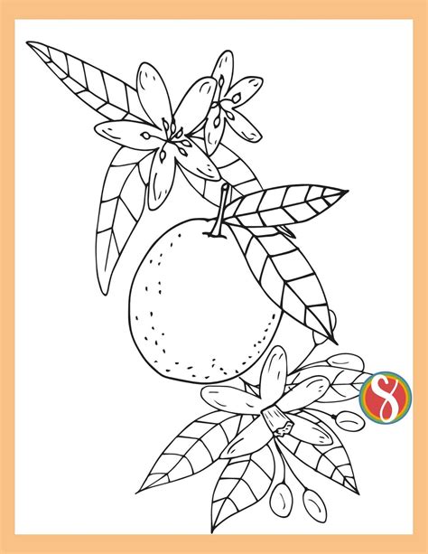 Free Orange Blossom Coloring Pages — Stevie Doodles