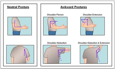 8 Fundamental Ergonomic Principles for Better Work Performance