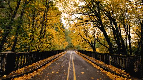 Fall Road Wallpaper - WallpaperSafari