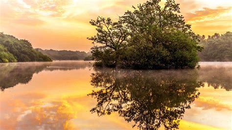 Epping Forest Walks - A Splendid Getaway From London For Hikes