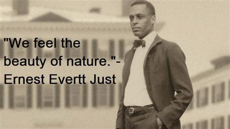 6 Most Inspiring Ernest Everett Just Quotes | Inspirationalweb.org