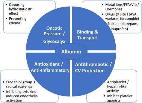 Low serum albumin: A neglected predictor in patients with ...