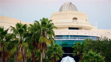 Orlando Science Center in Orlando, Florida | Expedia