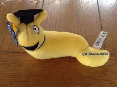 My son is now a graduated banana slug! Way to go son! | Ucsc banana ...