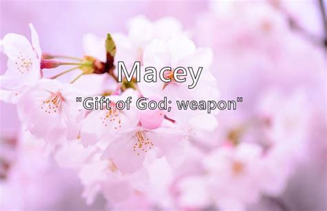 Macey - What does the girl name Macey mean? (Name Image)