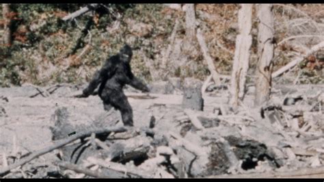 Cryptozoological Bigfoot Dramedy APE CANYON Out Today!