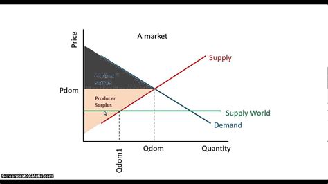 Tariffs and the Impact of Tariffs on a Domestic Market - YouTube