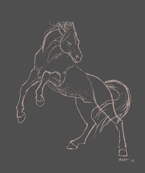 Rearing Horse Sketch by LadyScourgE on DeviantArt | Horse art drawing, Horse sketch, Horse drawings