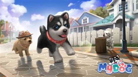 My Dog Pet Dog Game Simulator - Pet Friendly Hotels Near ME