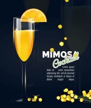 Mimosa Free Stock Photo - Public Domain Pictures