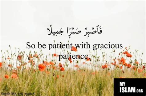 Patience (21 Hadith and Quran Verses) - My Islam