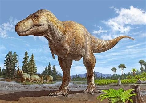 Scientists conclude New Mexico fossil is new Tyrannosaurus species ...