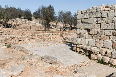 Archaeological Excavations of the Ancient Shiloh Archaeological Site in Samaria Region in ...