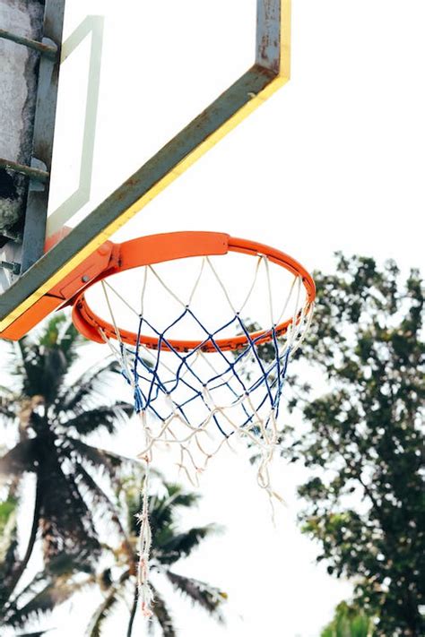 Basketball Hoop with Net in a Park · Free Stock Photo