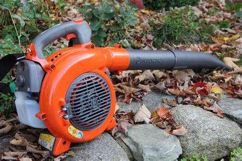 A Guide to the Best Leaf Vacuums for a Clean Yard