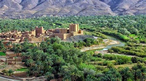 The largest oasis in the world is in Morocco| Moroccan National Tourist ...