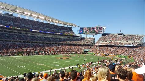 Paul Brown Stadium (Cincinnati) - 2021 All You Need to Know BEFORE You Go | Tours & Tickets ...