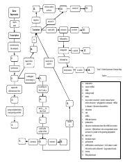 Topic 7 - Gene Expression Concept Map 2 .pdf - deliver amino acids to 13. Gene Expression ...