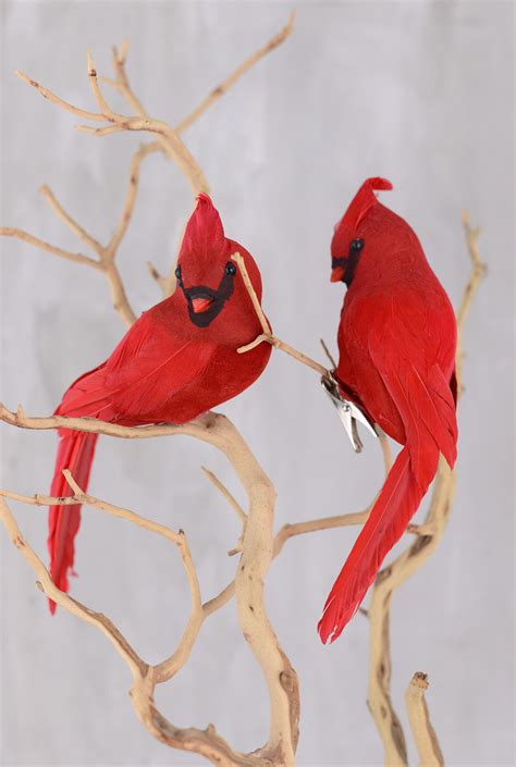 Artificial cardinals | Manualidades navideñas, Manualidades, Navideño