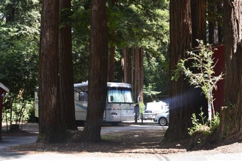 Photo Gallery of Santa Cruz Redwoods RV Resort & RV Park Felton