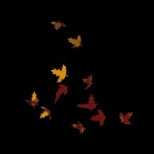 Leaves Falling GIFs | Tenor